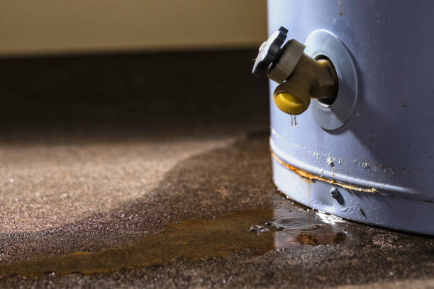 Best 24-hour water damage restoration  in Cedar Hill, MO