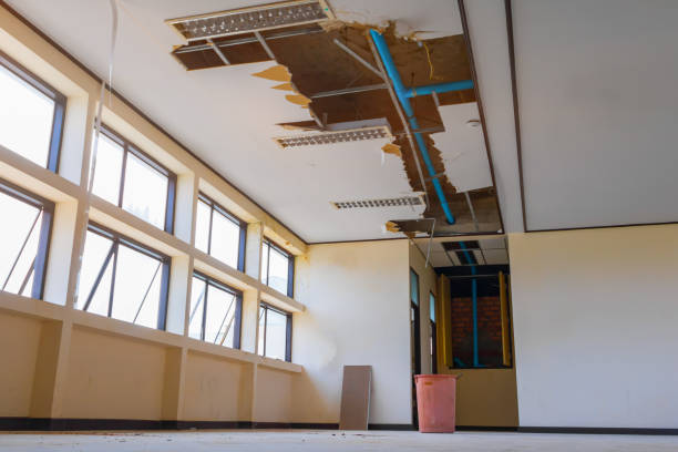 Best Residential water damage restoration  in Cedar Hill, MO