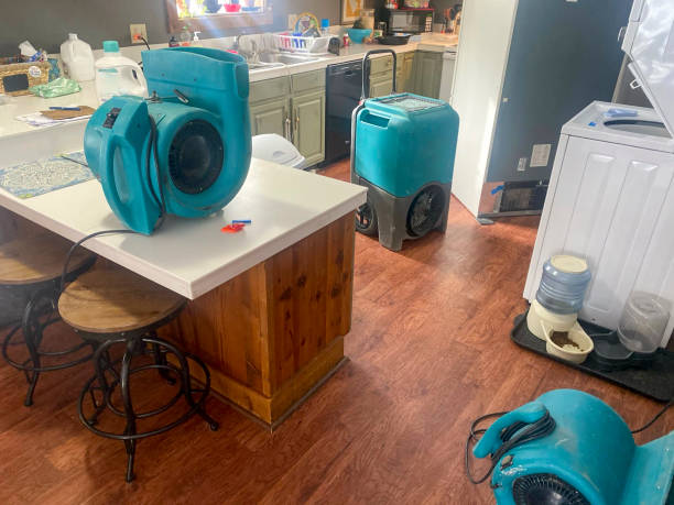 Best Commercial water damage restoration  in Cedar Hill, MO