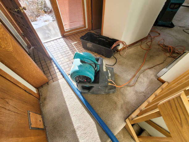 Best Water damage restoration services  in Cedar Hill, MO