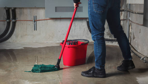 Best Ceiling water damage repair  in Cedar Hill, MO
