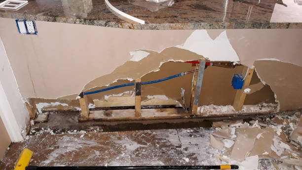 Best Local water damage restoration  in Cedar Hill, MO