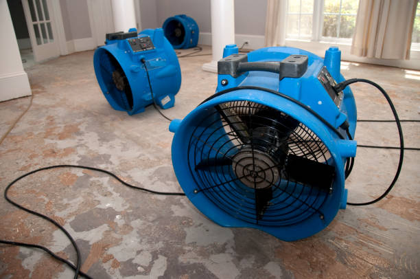 Best Water damage restoration company  in Cedar Hill, MO