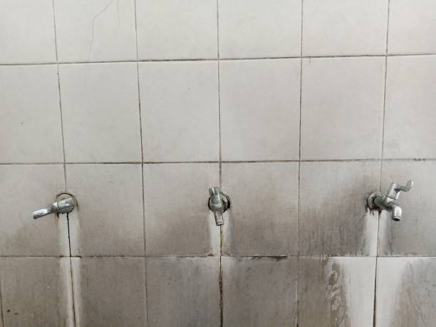 Best Carpet water damage restoration  in Cedar Hill, MO