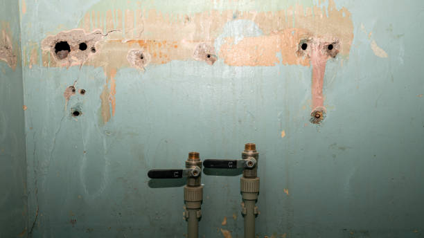 Best Mold removal after water damage  in Cedar Hill, MO