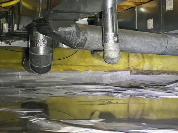 Best 24/7 water damage repair  in Cedar Hill, MO
