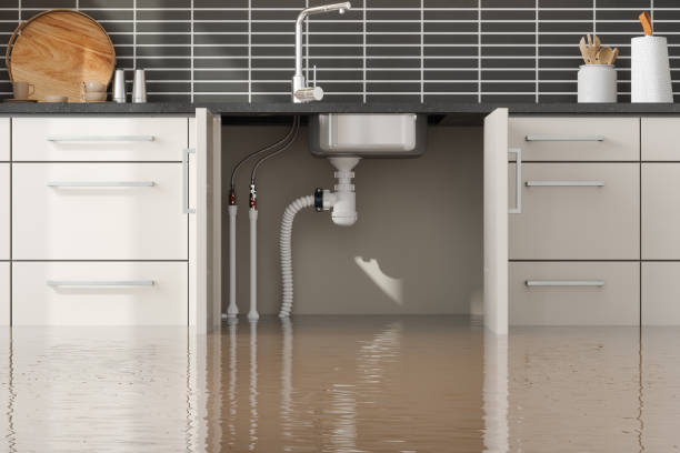 Best Flood damage cleanup  in Cedar Hill, MO