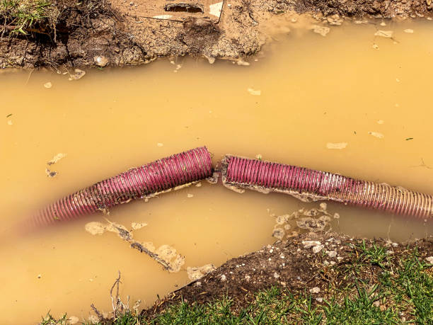 Best Water damage contractors near me  in Cedar Hill, MO