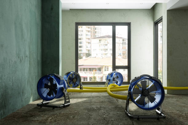 Best Water damage cleanup near me  in Cedar Hill, MO
