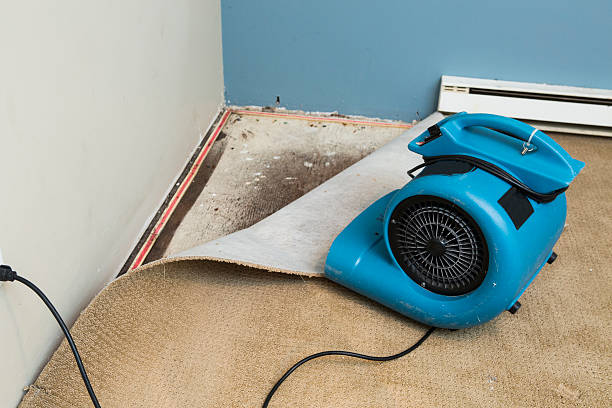 Trusted MO Water damage restoration Experts