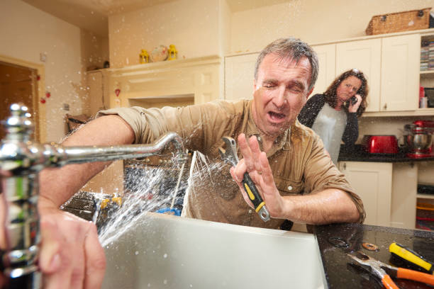 Best Professional water damage repair  in Cedar Hill, MO